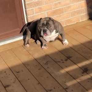 Meet your Posher, Manny